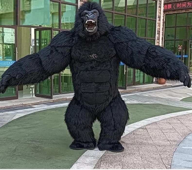 Mascotes gigantes bateria