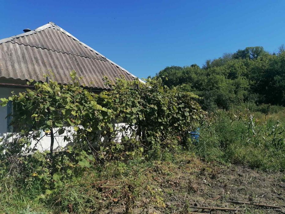 Продаж будинку з земельною ділянкою.