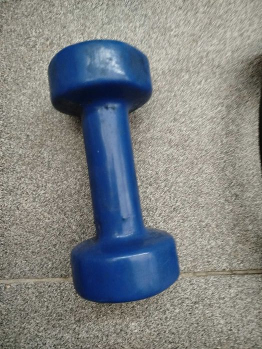Weight Training Equipment.445167889464709122