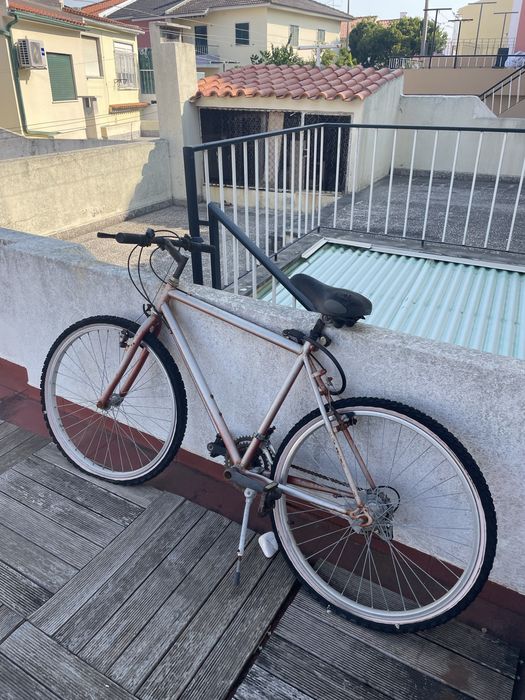 Bicicleta de adulto Esmaltina