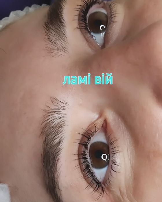 ЛАМІ Вій та брів, моделі, хна, Виноградар, Варшавський.