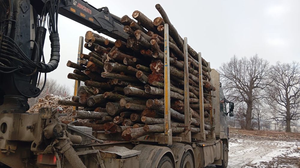 Drewno opałowe suche lisciaste w kłodzie