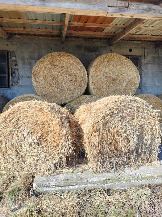 Sprzedam słomę 2025