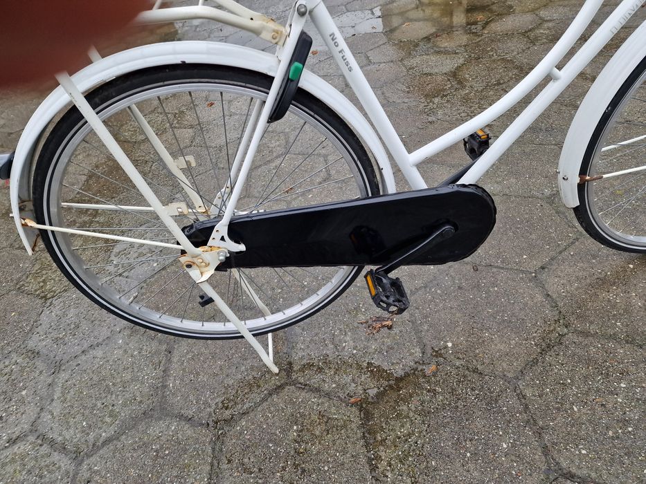 Rower holenderski limit i rivel