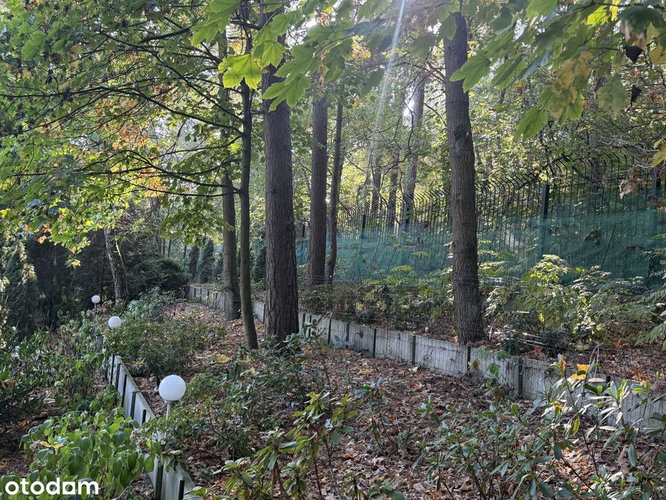 Dom – Puszczykowo - Więcej