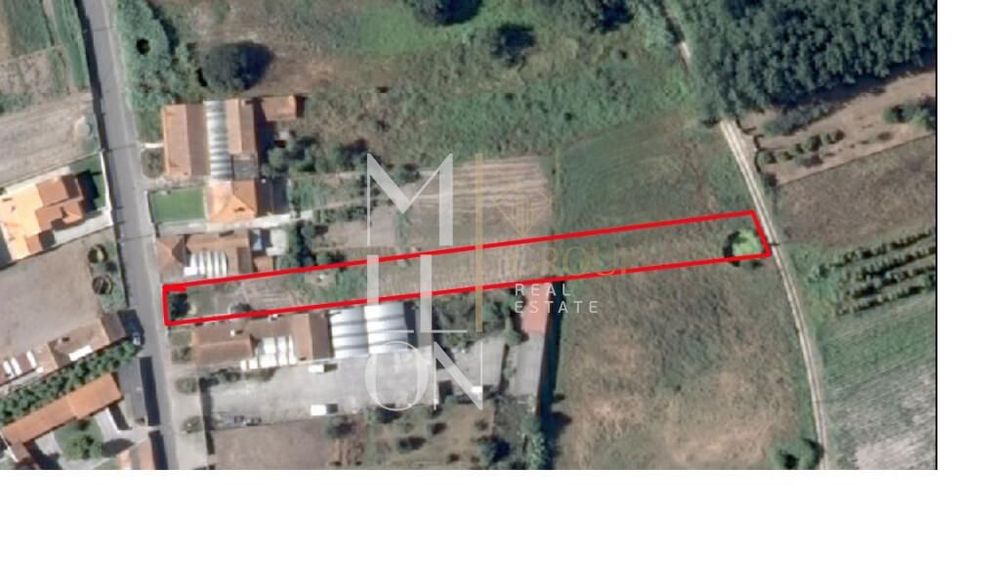 Terreno urbanizável na Rua da Rainha, em Bustos, concelho de Oliveira — Bustos, Troviscal E Mamarrosa, Aveiro