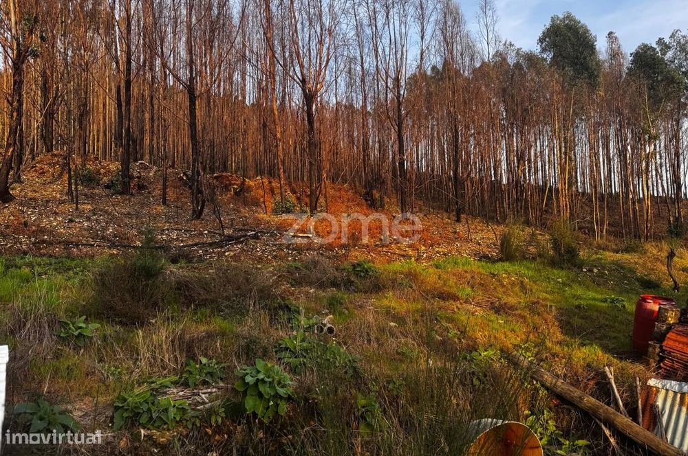 Terreno Urbano em Melres