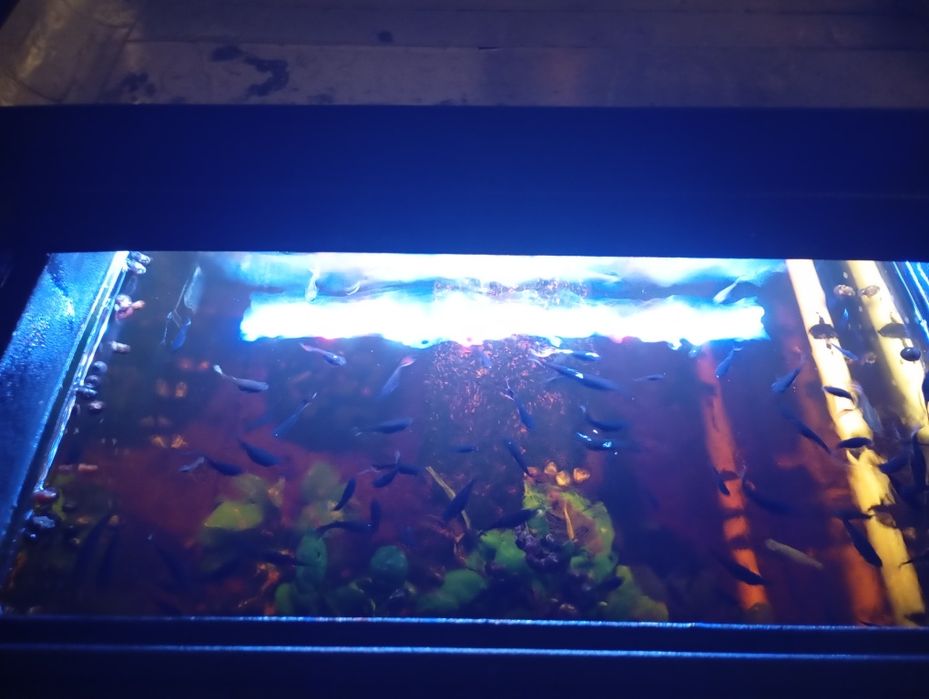 Aquario 45x45x50 com móvel