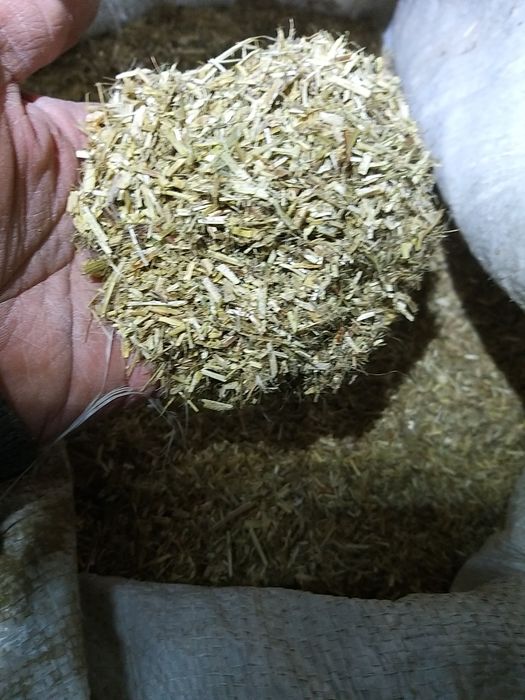 Susz sieczka dla koni z lucerny drobna siano