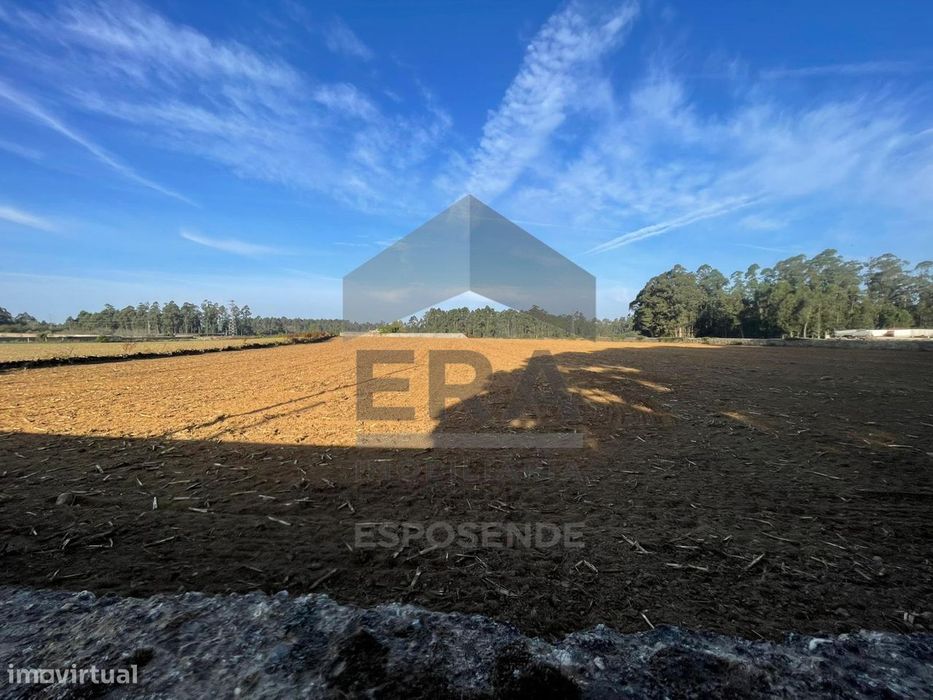 Terreno Agrícola na Póvoa de Varzim