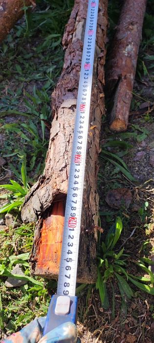 Stemple budowlane drewniane