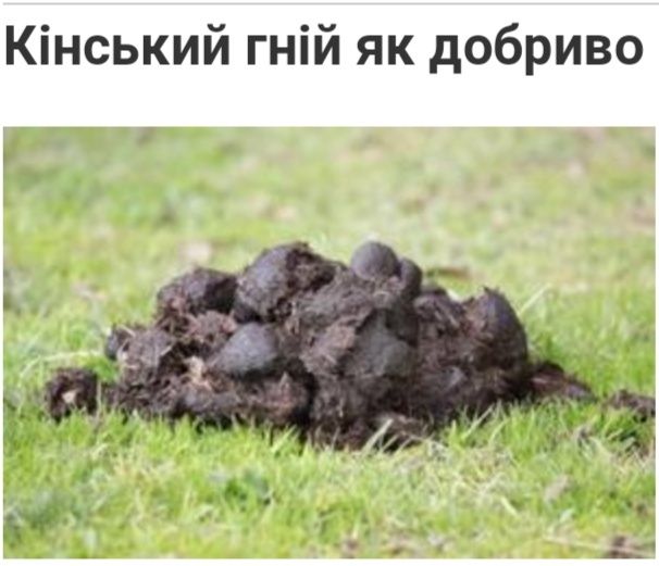 Гній конський навоз