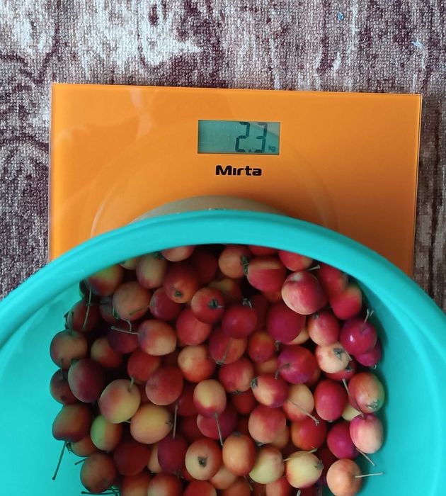 Ваги підлогові електронні MIRTA SCE315O робочі весы напольные