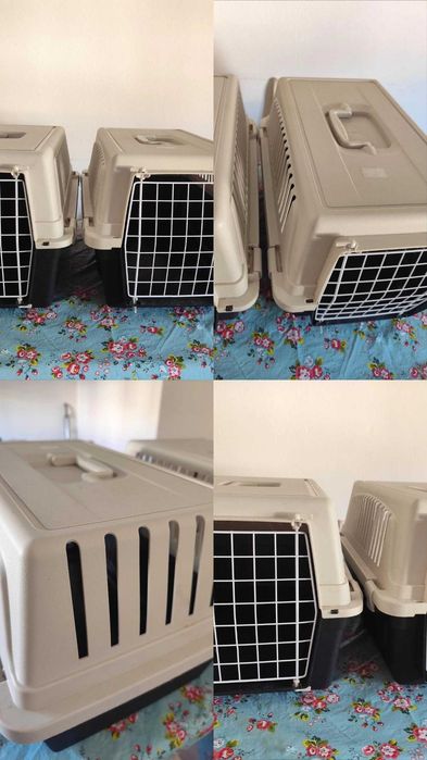 Container de pet