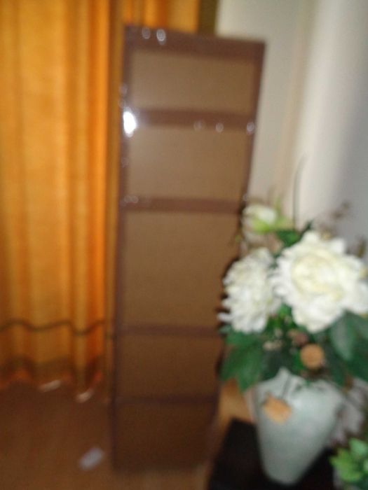 Estante com porta de vidro e prateleiras amoviveis
