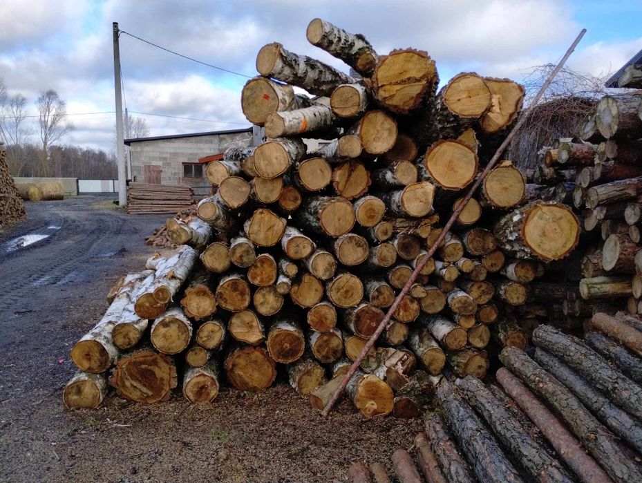 Drzewo drewno opalowe lisciaste sosnowe dębowe, na metry