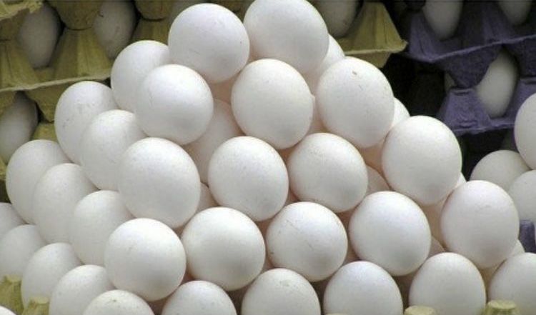 Інкубаційні яйця Легорн