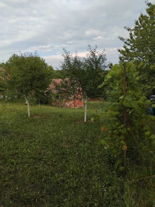 Продається дачна ділянка в місті Рогатин.