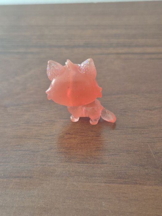 średni LPS kotek