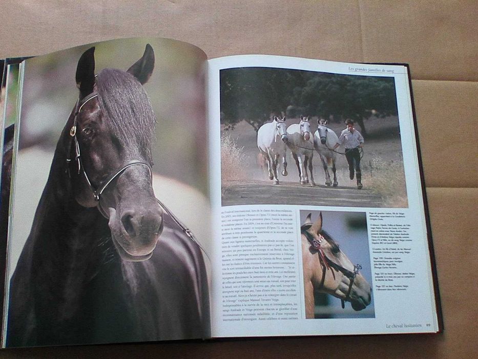 Le Cheval Lusitanien ; Elevage Et Traditions Equestres Au Portugal