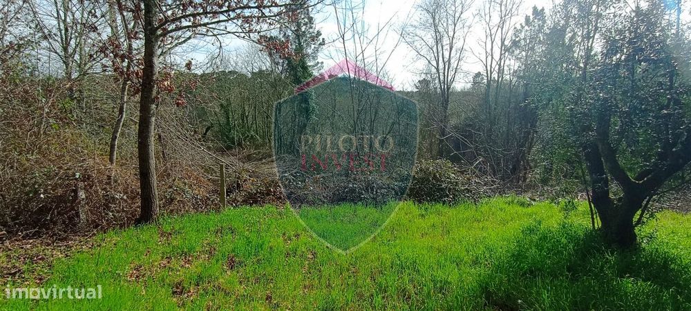 Quinta  Venda em Silgueiros,Viseu