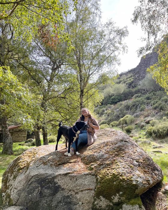 Dog Walking e pet sitting!