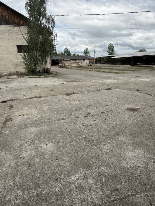 Лісопереробне підприємство