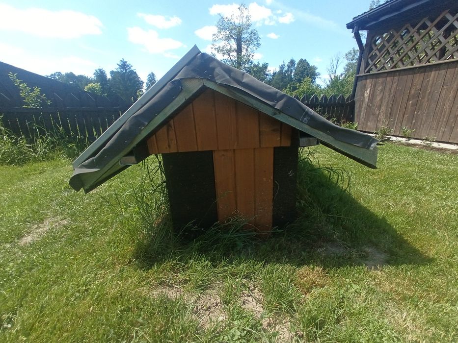 Buda dla psa do dokonczenia