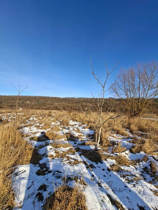 Продаж земельної ділянки,с.Вовчинець.