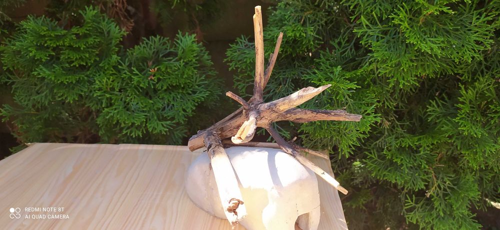 Grota z korzeniem do akwarium