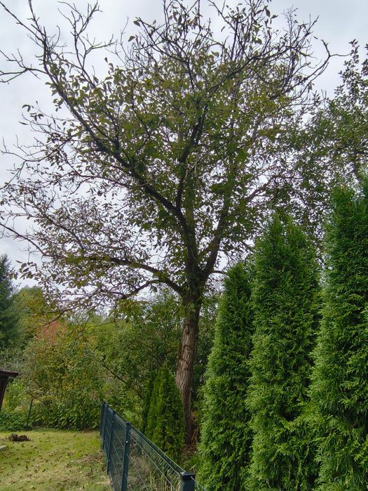Zdjęcie 4