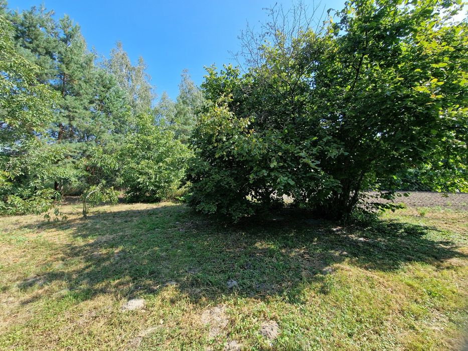 Klimatyczne siedlisko rolne