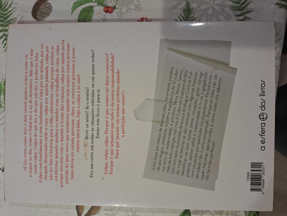 "A Culpa Não É Sempre da Mãe!" de Sónia Morais Santos