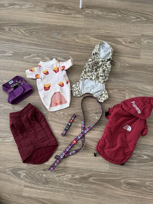 Амуніція для собак одяг для цуценят повідець нашийник дощовик шлея