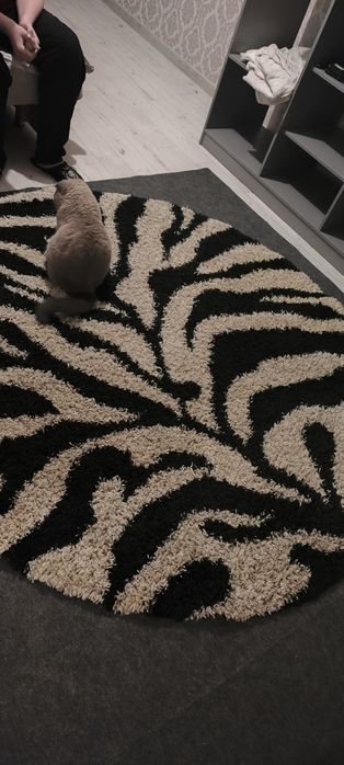 Продам ковер 2*2 круглый