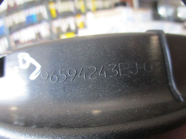 Friso exterior CITROËN C4 Picasso I (UD_)