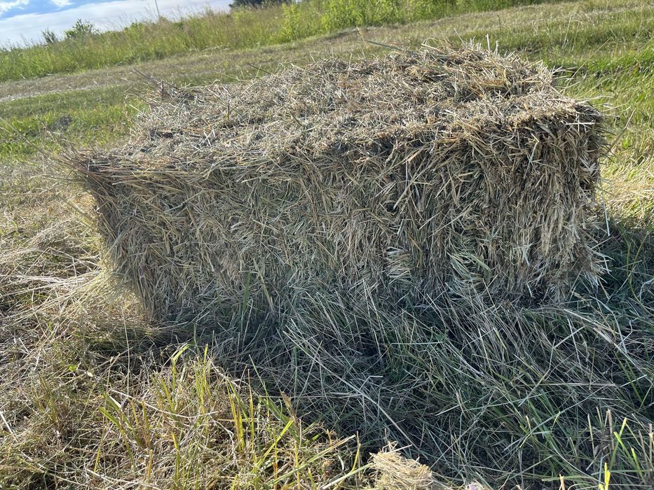 Сіно різнотравʼя в тюках.