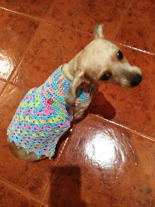 Vestidos pet em croché