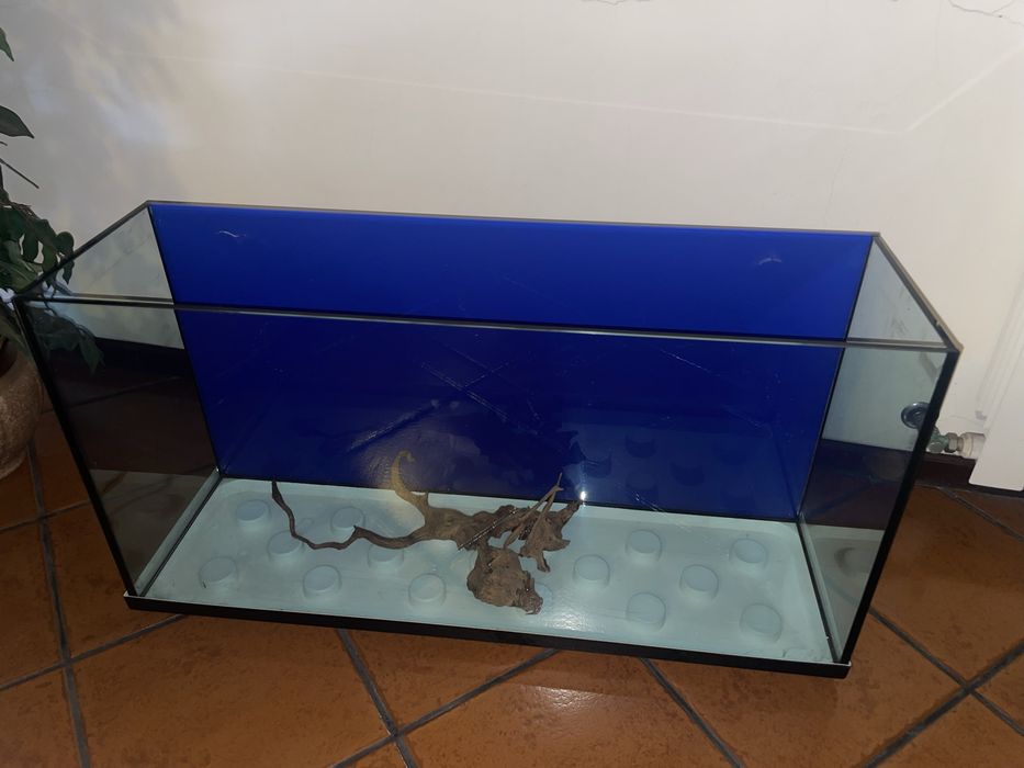 Aquário 180L Completo – Fluval + EHEIM + Acessórios