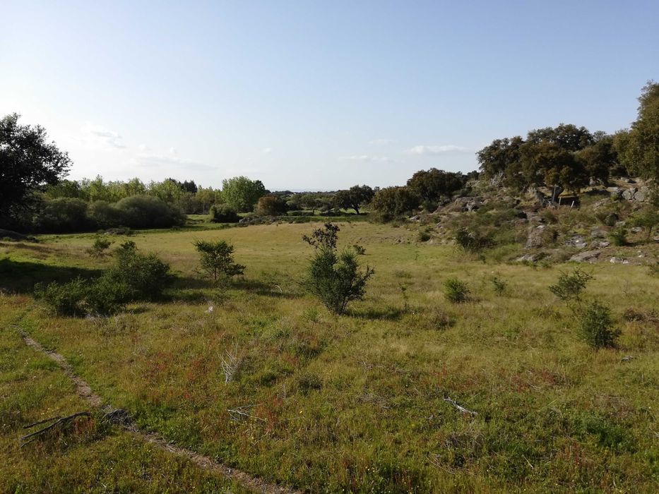 Terreno ideal para refugio de campo, Nisa