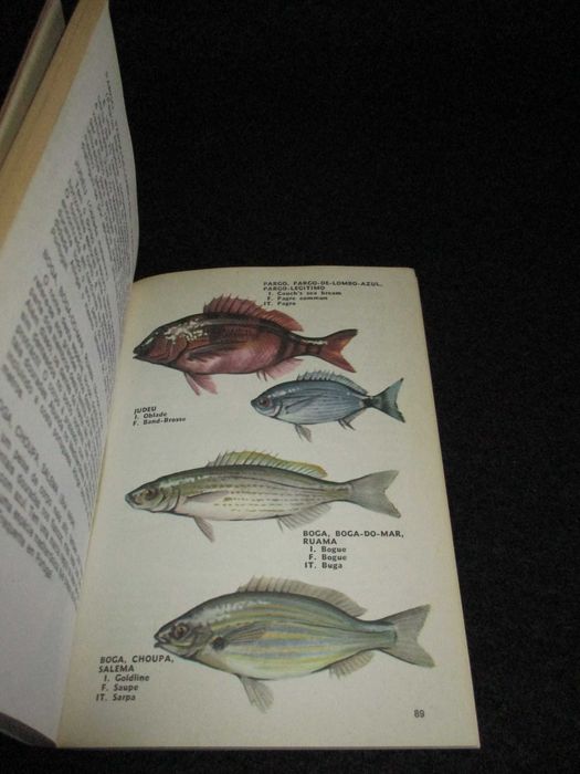 Livro Peixes Guia de Pesca Tony Burnand Bertrand