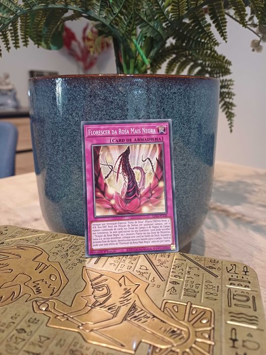 Carta Yu-Gi-Oh! - Florescer da Rosa Mais Negra - 1ª Edição