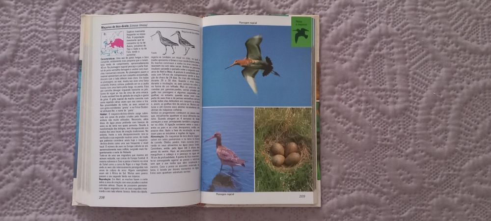 Aves Aquáticas - Frieder Sauer
