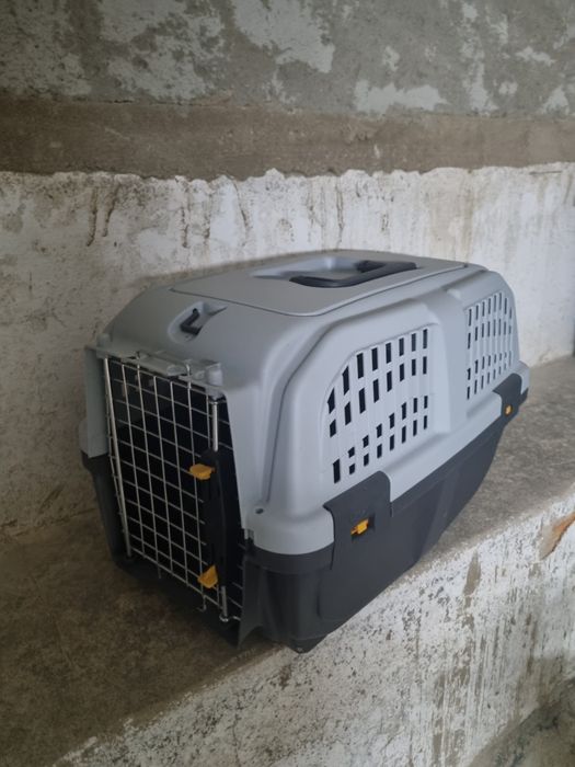 Caixa transporte animal