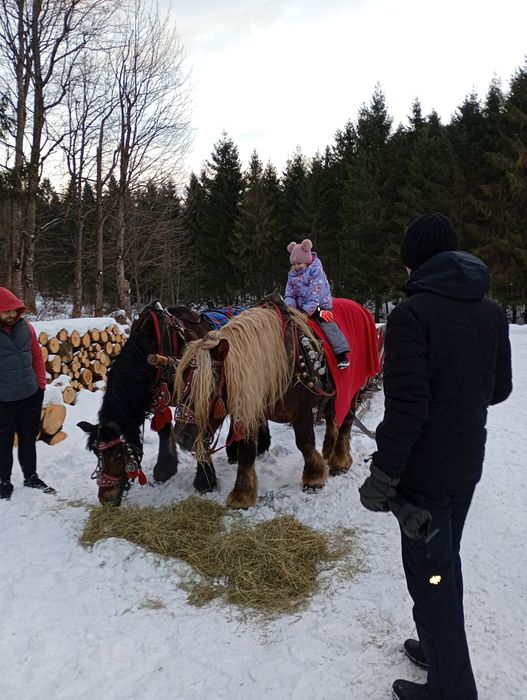 Kuligi Rycerka Dolna