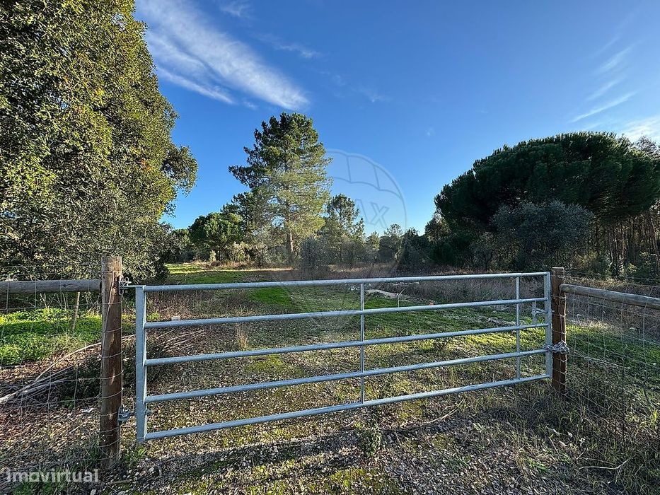 Terreno  para venda