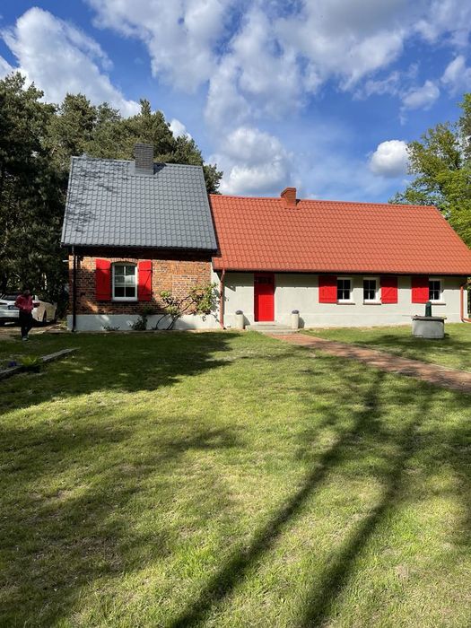 Domek wakacyjny. Dom, domek w lesie. Hetmanów koło Ostrowa Wlkp,