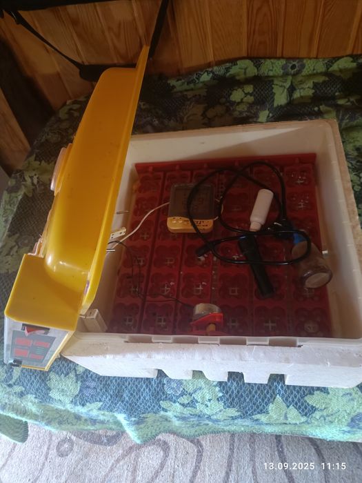 Інкубатор автомат MS 36/144 .Для всіх видів птиць.