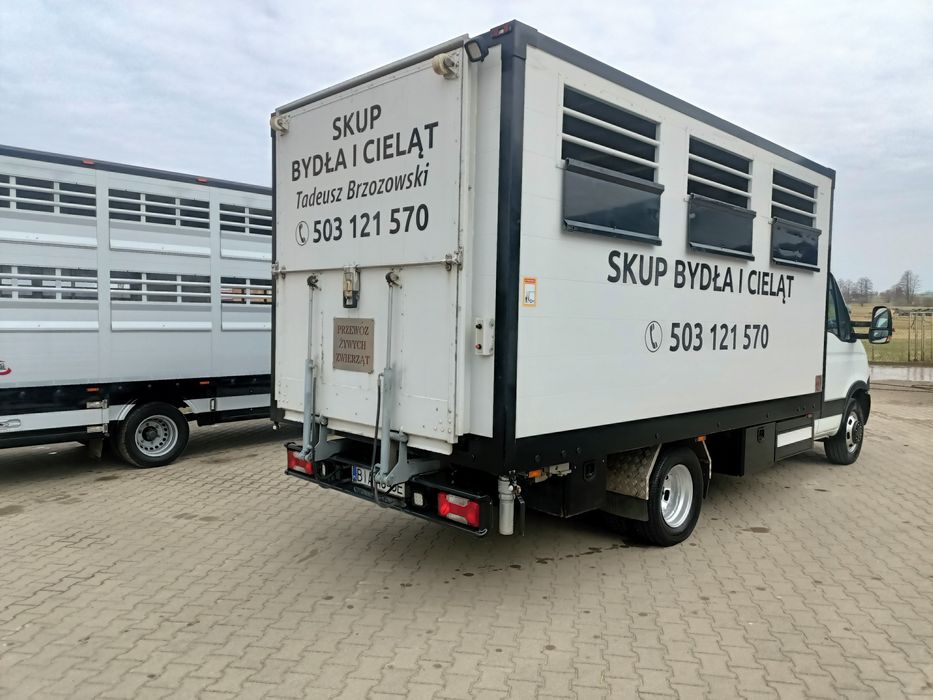 Iveco do Żywca Bydla