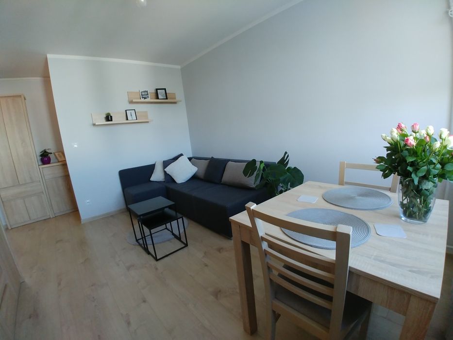 2-pokojowe mieszkanie po generalnym remoncie | Balkon | Pełne wyposażenie - Widok 2